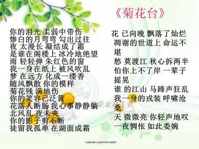 高三高考诗歌鉴赏人物形象解析 课赛课件